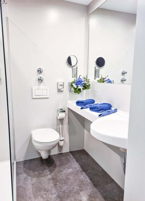Toilette in den Zimmern vom Hotel blauer Karpfen